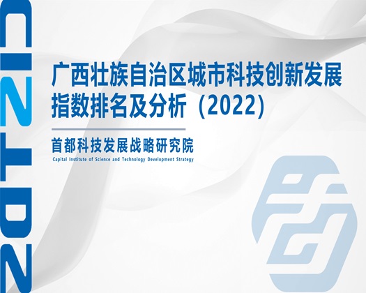 中国操大逼的【成果发布】广西壮族自治区城市科技创新发展指数排名及分析（2022）